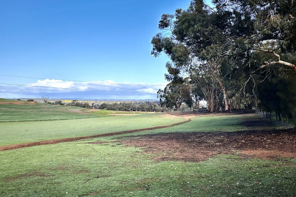 517 Yilliminning Road, Narrogin Valley, WA, 6312 - Image 25