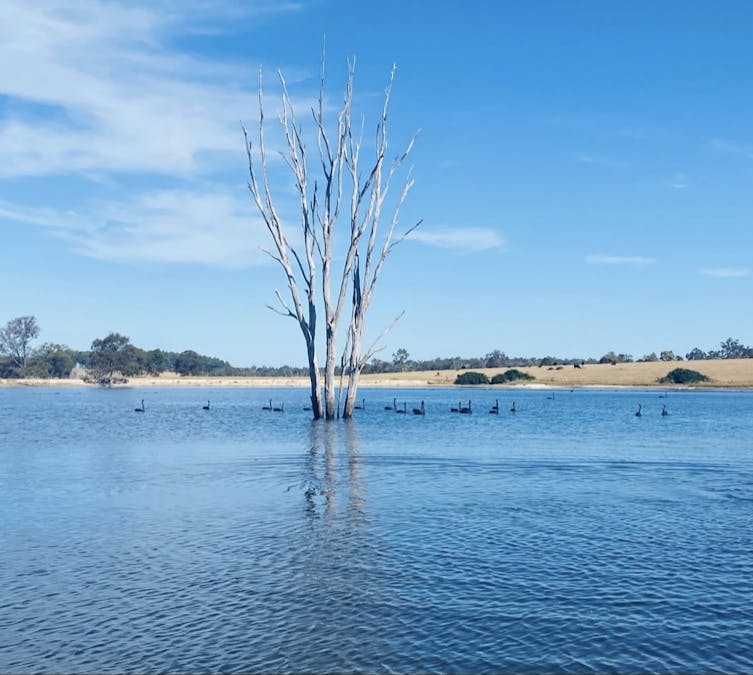 Ringbark Road, Ringbark, WA, 6258 - Image 4