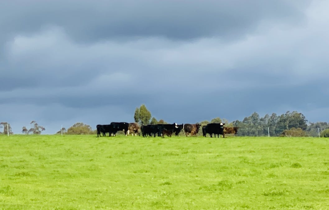 Ringbark Road, Ringbark, WA, 6258 - Image 3