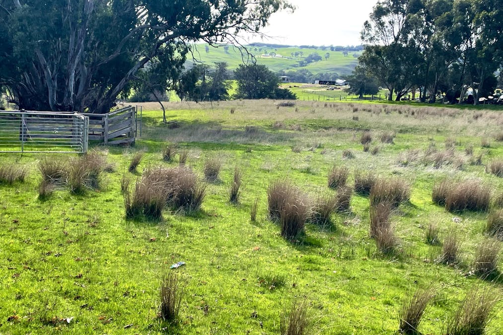 84 Mt Gambier Road, Casterton, VIC, 3311 - Image 13