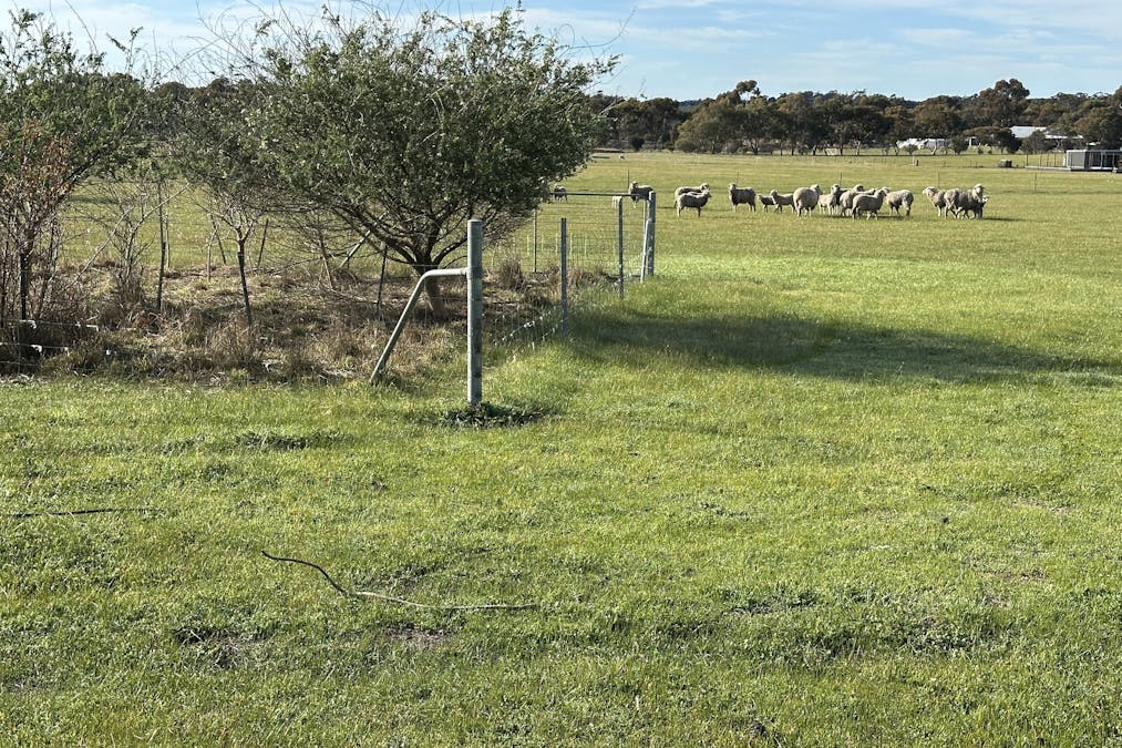 49/Tieline Road, Broomehill Village, WA, 6318 - Image 7