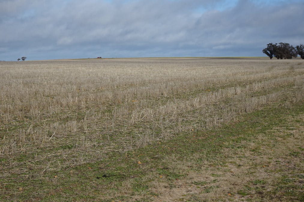 Lot 13898 Helm Road, East Wickepin, WA, 6370 - Image 16