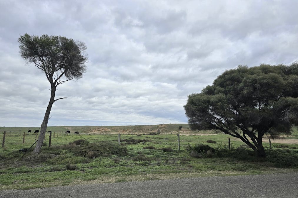 Lot 112 Bowmann Street, Wellington, SA, 5259 - Image 3