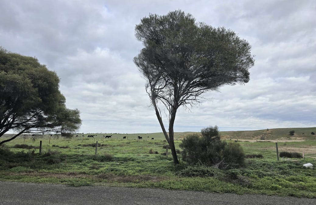Lot 112 Bowmann Street, Wellington, SA, 5259 - Image 4