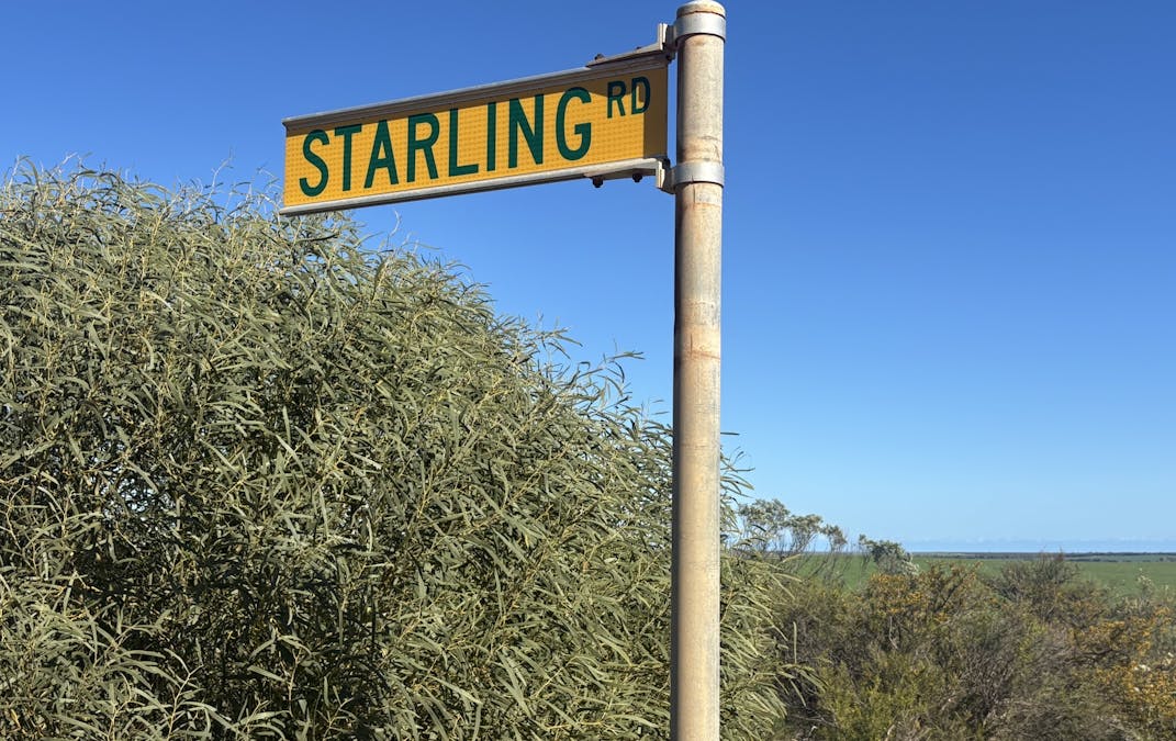 Lot 52 Starling Road, Bowes, WA, 6535 - Image 8