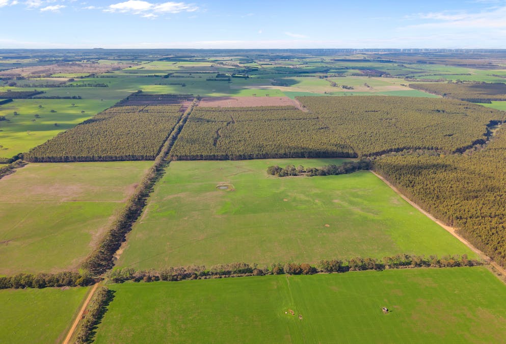 Cnr Hamilton-Port Fairy Road and Lyons Road, Byaduk, VIC, 3301 - Image 4
