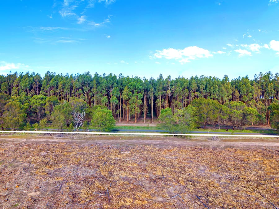 Cnr Hamilton-Port Fairy Road and Lyons Road, Byaduk, VIC, 3301 - Image 13