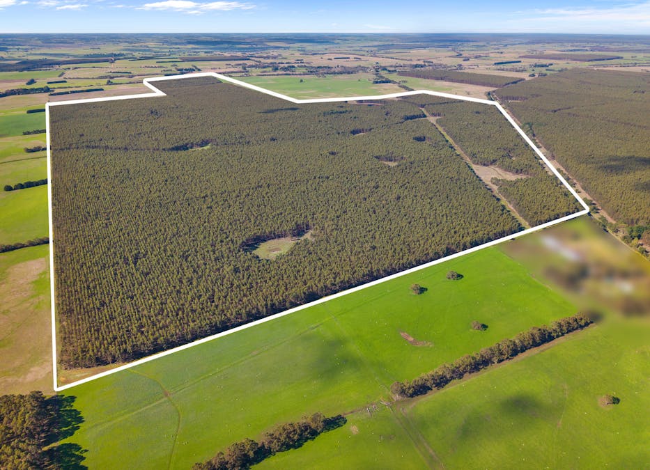 Cnr Hamilton-Port Fairy Road and Lyons Road, Byaduk, VIC, 3301 - Image 3