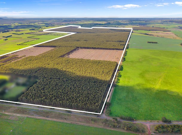 Cnr Hamilton-Port Fairy Road and Lyons Road, Byaduk, VIC, 3301 - Image 1