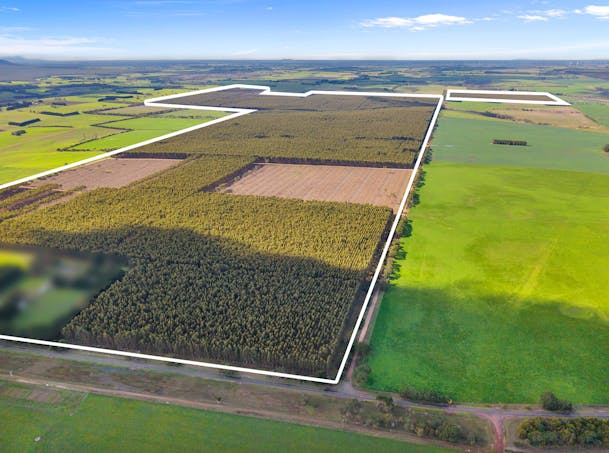 Cnr Hamilton-Port Fairy Road and Lyons Road, Byaduk, VIC, 3301 - Image 1