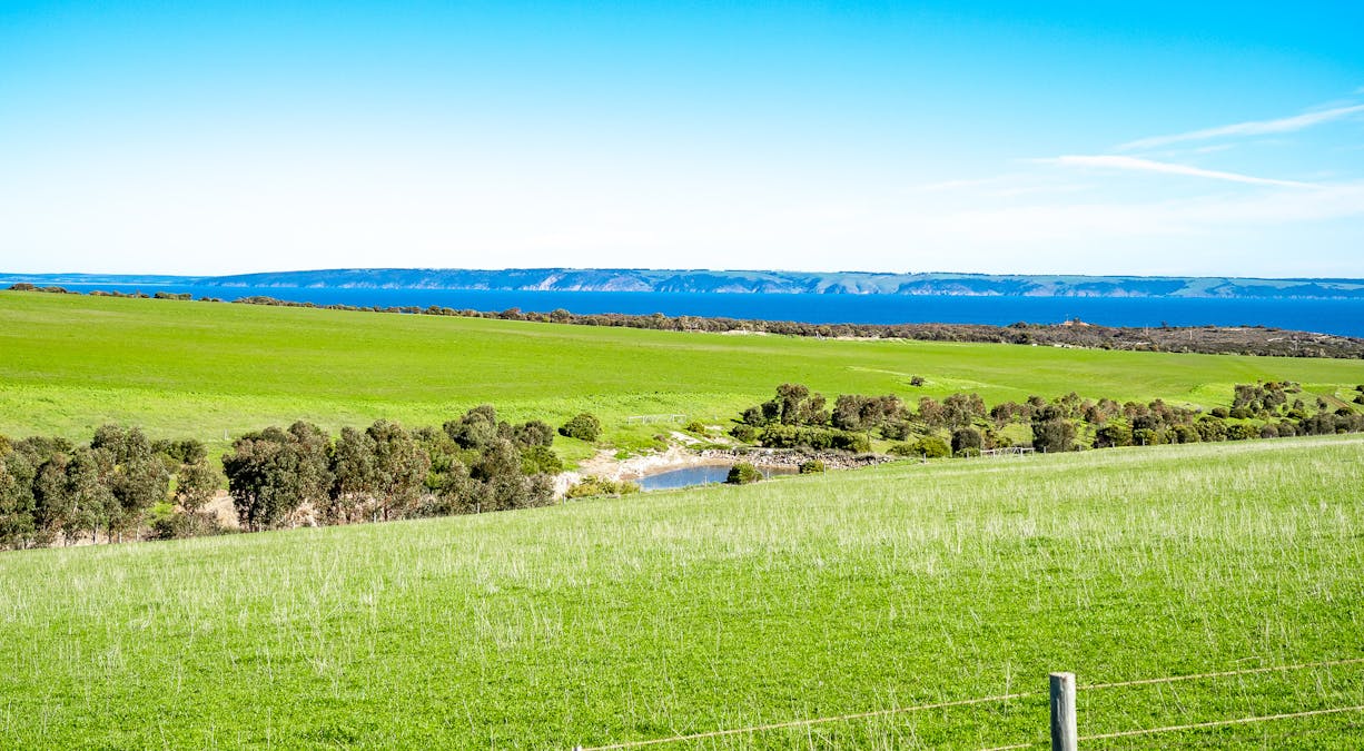 82 Sorata Street, Cape Jervis, SA, 5204 - Image 24
