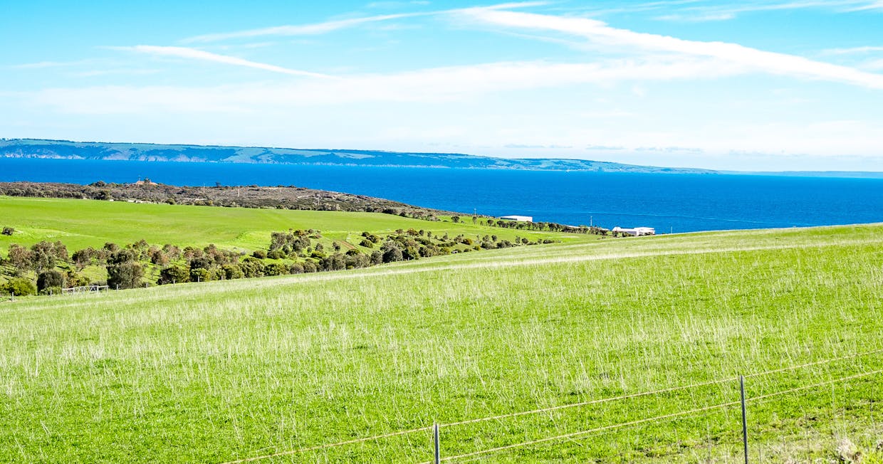 82 Sorata Street, Cape Jervis, SA, 5204 - Image 25