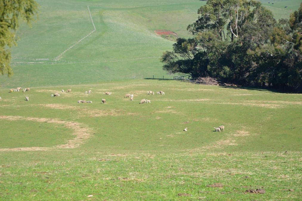105 Holmes Road, Mardan, VIC, 3953 - Image 4