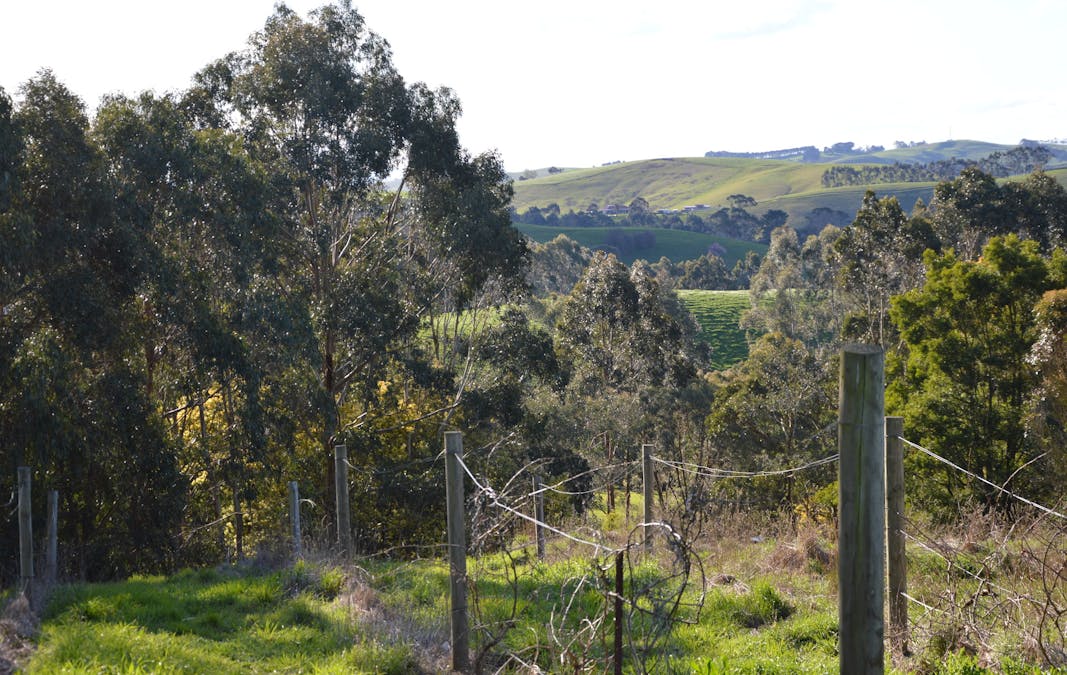 75  Lohs Road, Loch, VIC, 3945 - Image 7