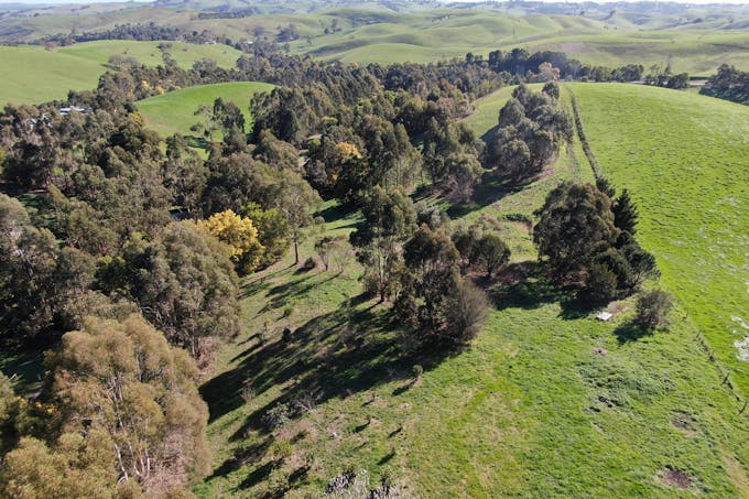 75  Lohs Road, Loch, VIC, 3945 - Image 1