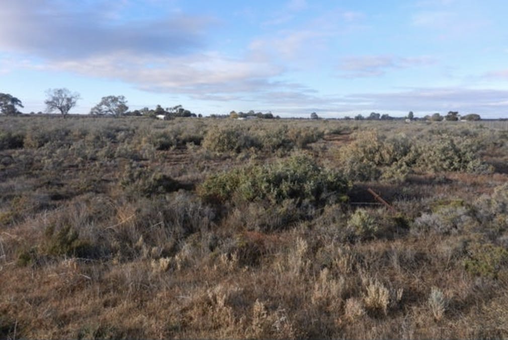 39/Canal Road, Renmark, SA, 5341 - Image 3