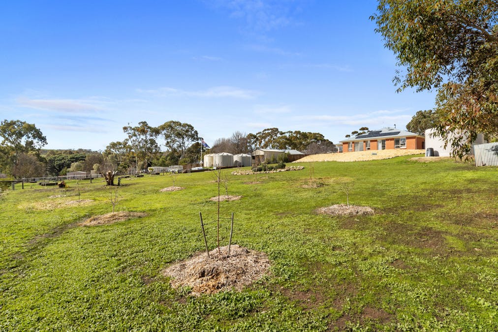 8 Hayward Street, Armagh, SA, 5453 - Image 25