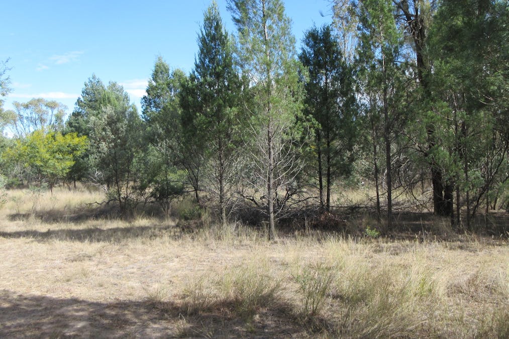 Tara, QLD, 4421 - Image 14