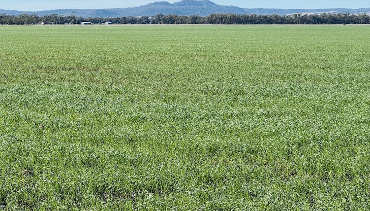 Lot 95 Bacons Road, Kelvinhaugh, QLD, 4401 - Image 1