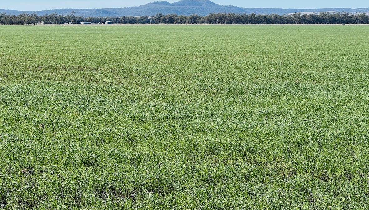 Lot 95 Bacons Road, Kelvinhaugh, QLD, 4401 - Image 1