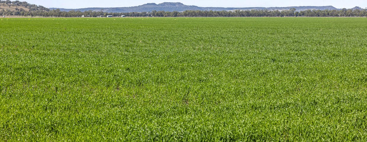 Lot 95 Bacons Road, Kelvinhaugh, QLD, 4401 - Image 4