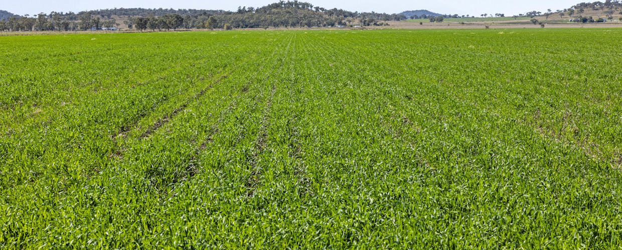 Lot 95 Bacons Road, Kelvinhaugh, QLD, 4401 - Image 2