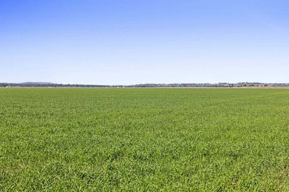 Lot 95 Bacons Road, Kelvinhaugh, QLD, 4401 - Image 3