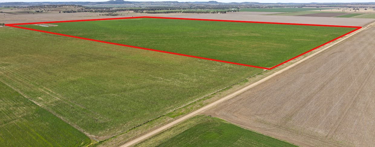 Lot 95 Bacons Road, Kelvinhaugh, QLD, 4401 - Image 6