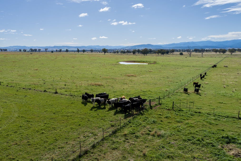 2034 Oxley Highway, Tamworth, NSW, 2340 - Image 4