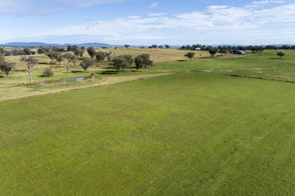2034 Oxley Highway, Tamworth, NSW, 2340 - Image 5