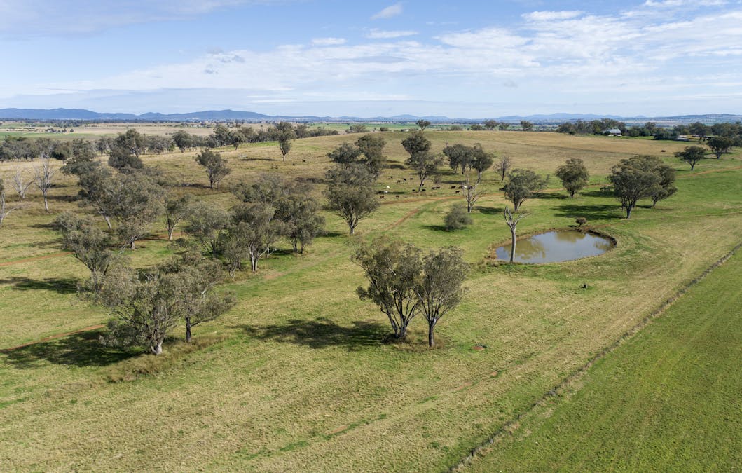 2034 Oxley Highway, Tamworth, NSW, 2340 - Image 3