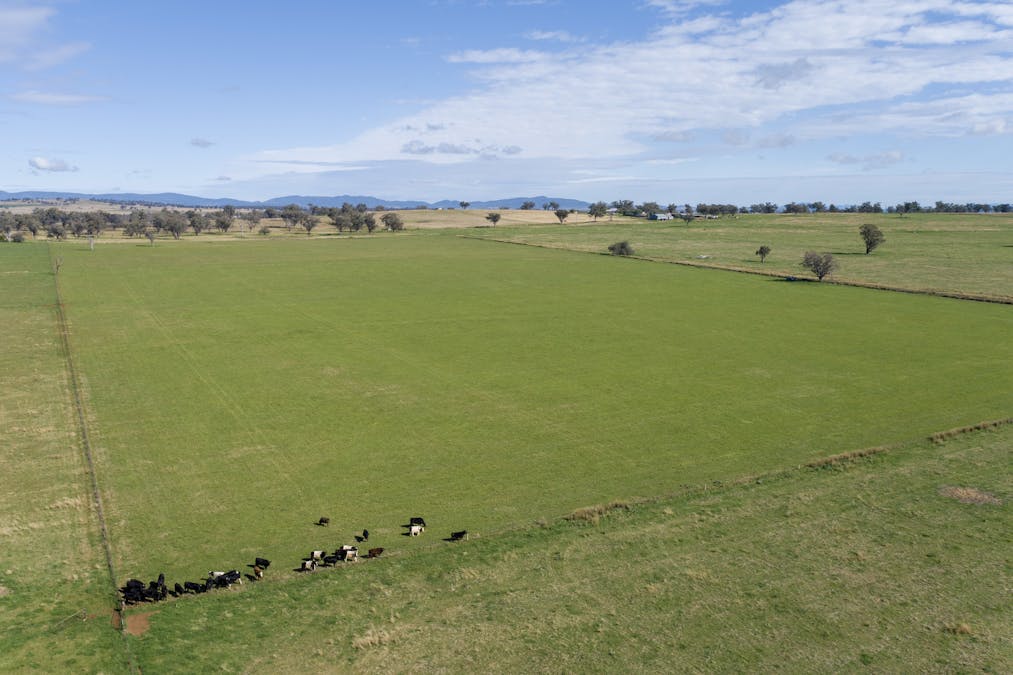 2034 Oxley Highway, Tamworth, NSW, 2340 - Image 30