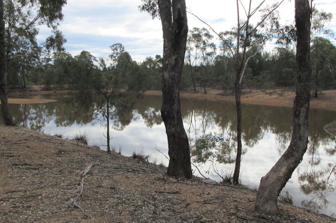 Tara, QLD, 4421 - Image 1
