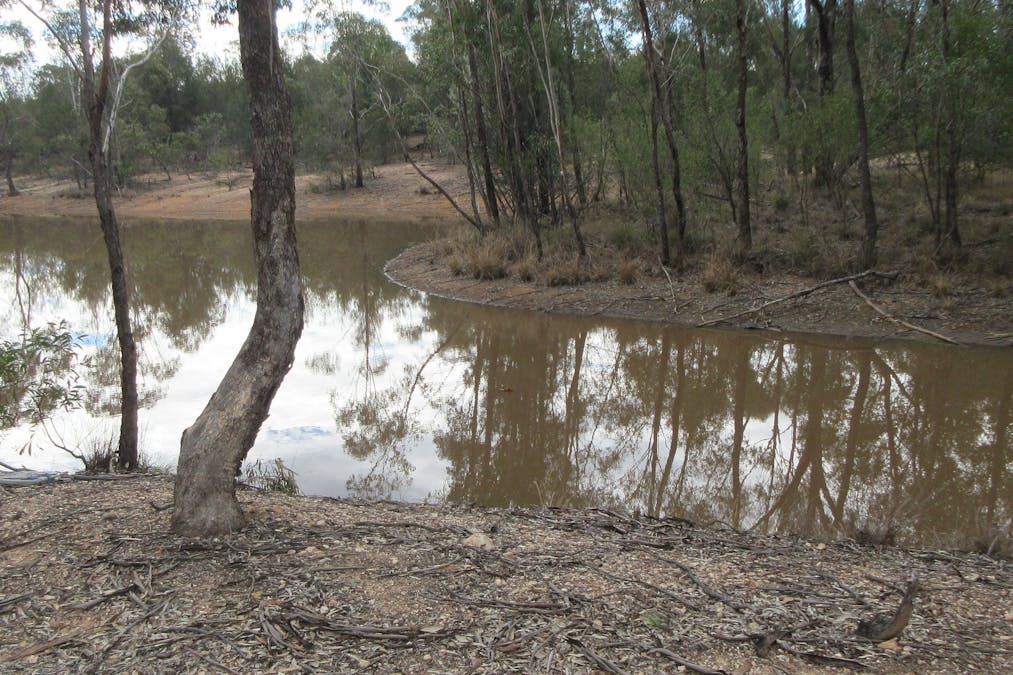 Tara, QLD, 4421 - Image 4