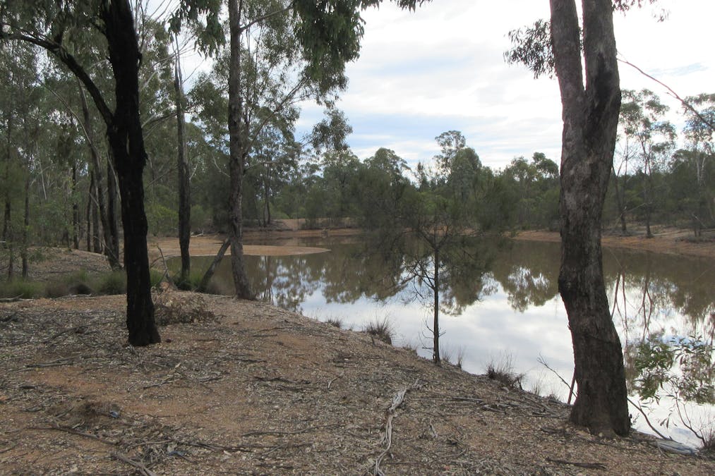 Tara, QLD, 4421 - Image 5