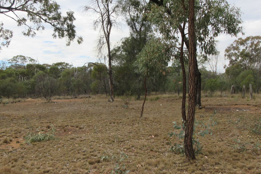 Tara, QLD, 4421 - Image 12