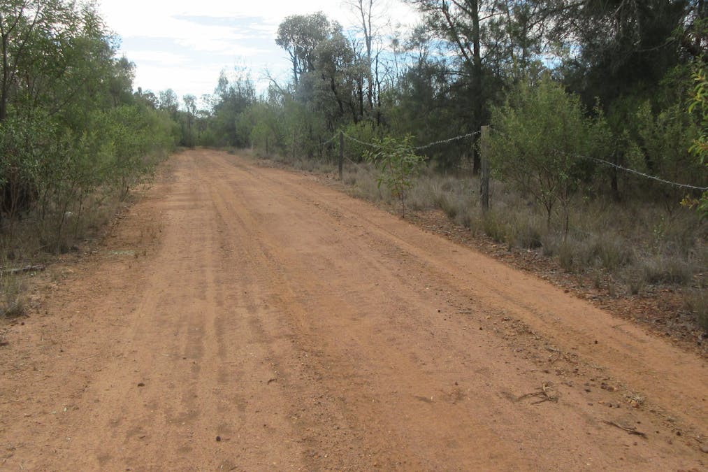 Tara, QLD, 4421 - Image 14