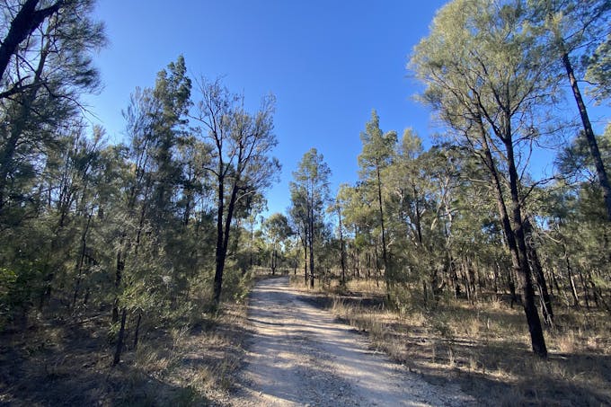 Tara, QLD, 4421 - Image 1