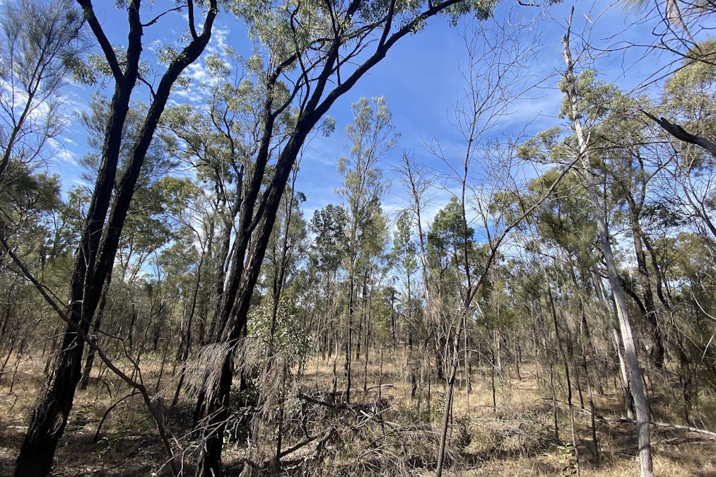Tara, QLD, 4421 - Image 10