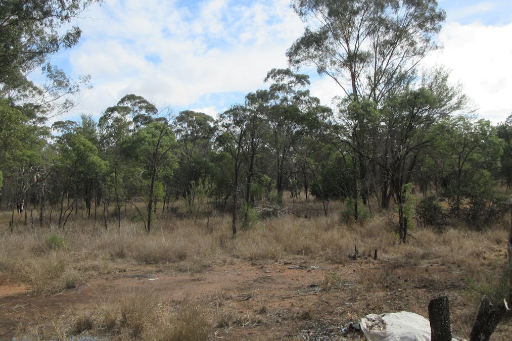 Tara, QLD, 4421 - Image 4