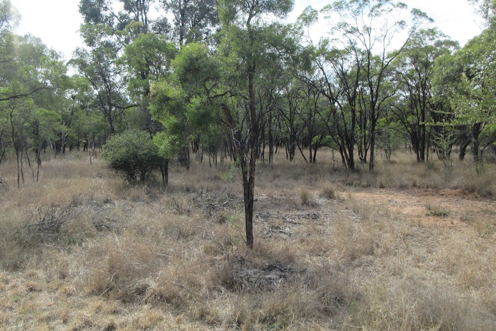 Tara, QLD, 4421 - Image 5