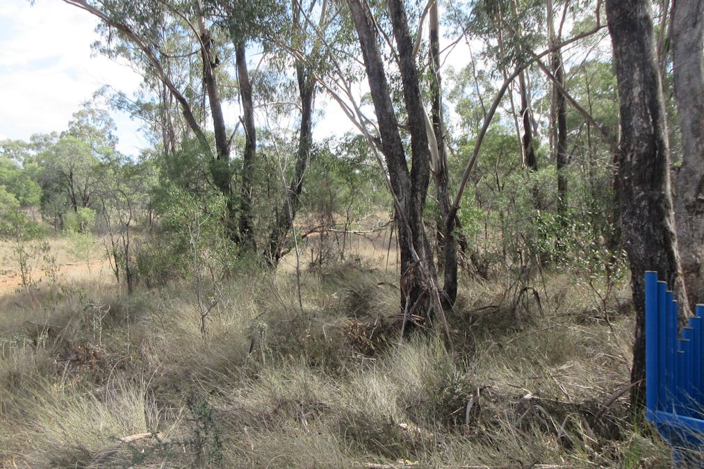 Tara, QLD, 4421 - Image 11