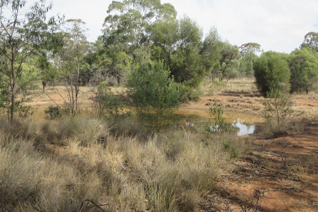 Tara, QLD, 4421 - Image 12