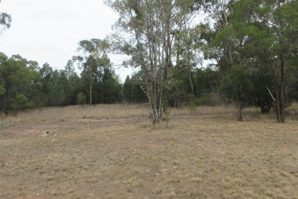 Tara, QLD, 4421 - Image 15