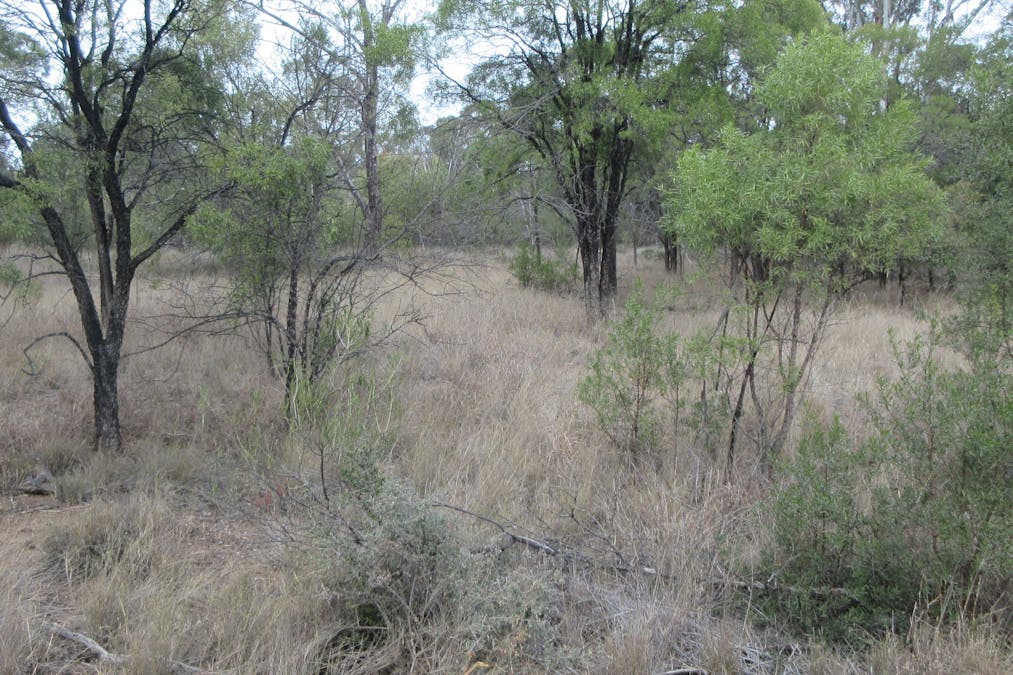 Tara, QLD, 4421 - Image 16
