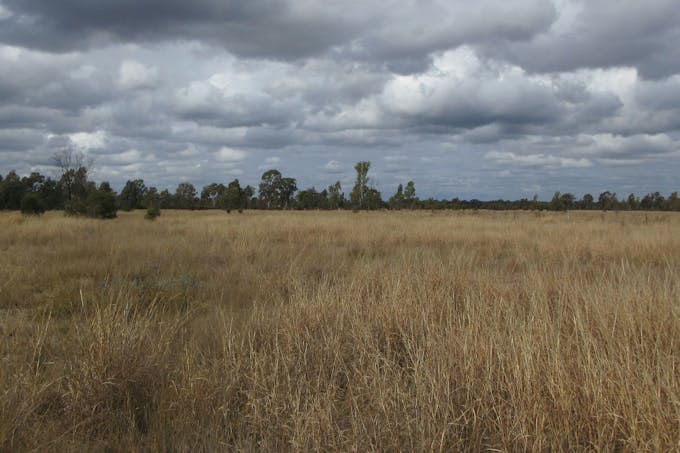 Lot/115 Kofoeds Road, Tara, QLD, 4421 - Image 1