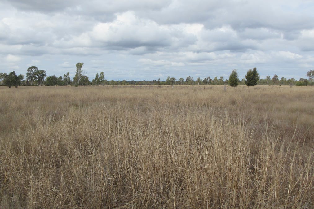 Lot/115 Kofoeds Road, Tara, QLD, 4421 - Image 4