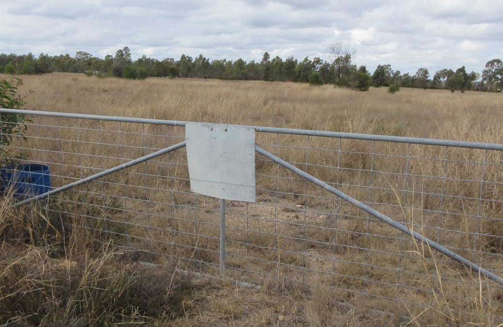 Lot/115 Kofoeds Road, Tara, QLD, 4421 - Image 5