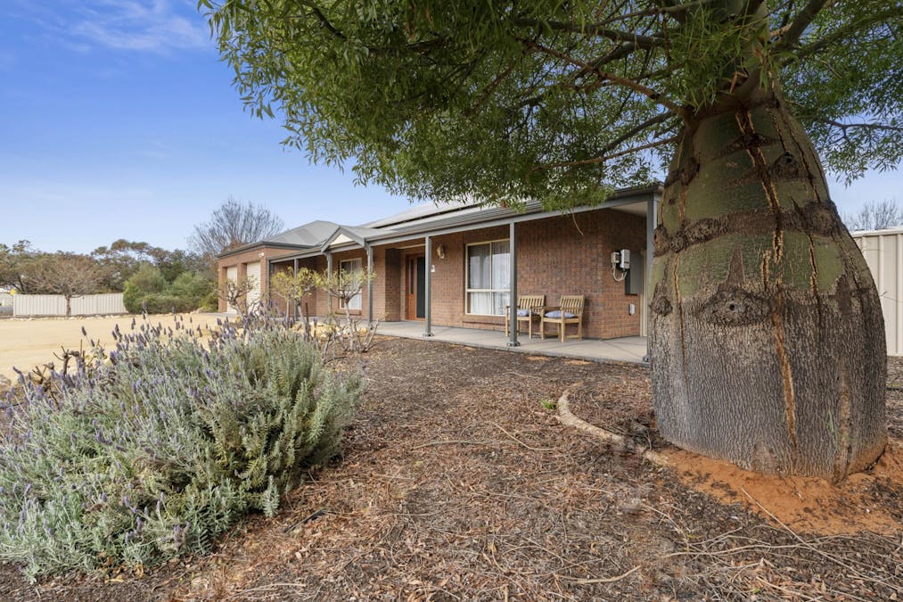 23 Cucumunga Street, Renmark, SA, 5341 - Image 2