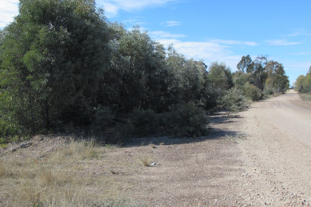 107 Myra Road, Tara, QLD, 4421 - Image 2